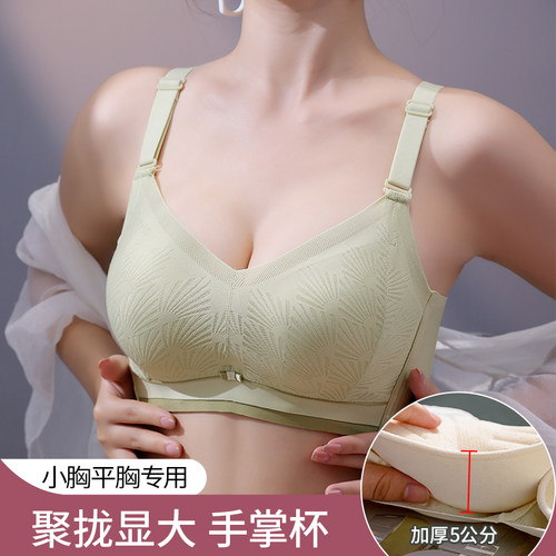 向大大小胸专用超聚拢文胸