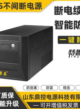 鲁森GD11F10000C风厂特UPS不间断电源频用标机1KVA长机容1量000VA
