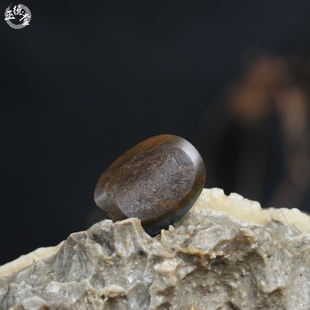 玉德堂新疆和田玉籽料青花苏工玉龟壳配饰玉龟甲富甲一方背云DIY