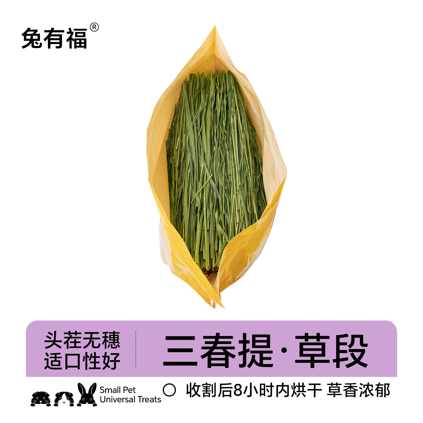 头茬北提烘干提摩西草兔子干草龙猫荷兰猪豚鼠牧草兔草磨牙提草段