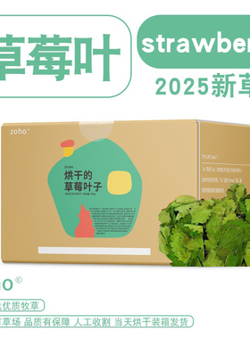 zoho季节限定烘干兔子草莓叶子草莓秧子了龙猫荷兰猪零食草辅草