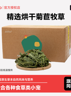 25年新草龙猫荷兰猪兔子菊苣草烘干菊苣牧草干草零食草辅食饲料