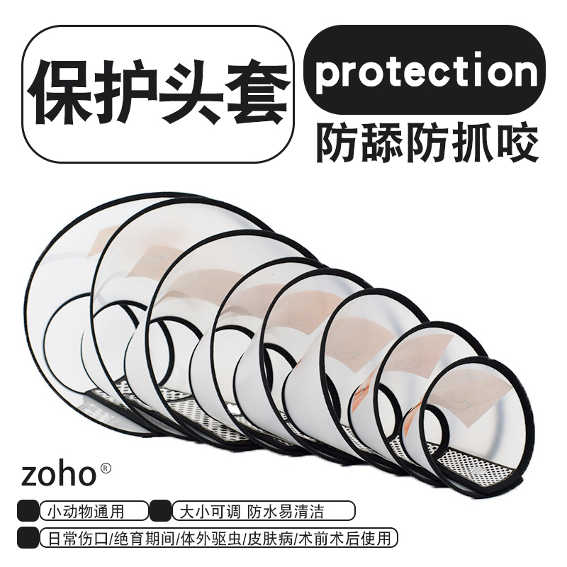 11宠物兔子伊丽莎白圈防舔防抓