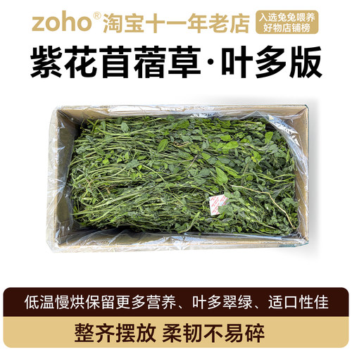 新烘干紫花苜蓿牧草兔子龙猫豚鼠