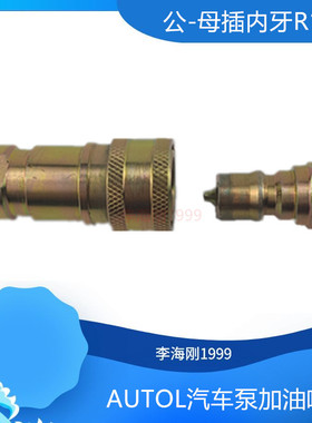 AUTOL油泵注油嘴接头高压快速快接 快插双自封碳钢 2分内牙英制