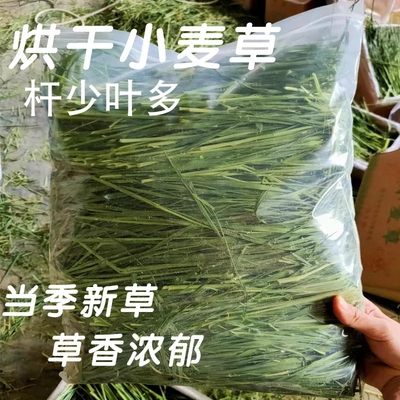 烘干小麦草袋装500g 兔子龙猫荷兰猪宠物通用零食牧草小麦苗