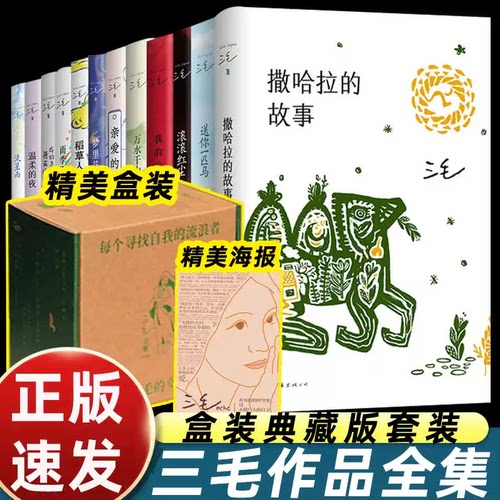 三毛作品全集12册 新版套装 亲爱的三毛我的宝贝撒哈拉的故事万水千山走遍雨季不再来我的灵魂骑在纸背上三毛游文学随笔畅销书籍
