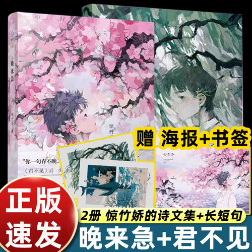 2册惊竹骄君不见晚来急诗集诸多少年意气与浪漫情怀诗歌收录心事和青春印记 风景爱情理想快乐悲伤治愈青春追求梦想的年轻人畅销书