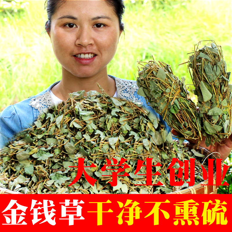 广西新鲜干净无硫大叶金钱草中药材广金钱草中草药泡水500克 传统滋补营养品 广金钱草 原图主图