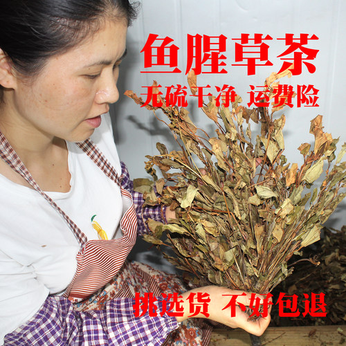 新鲜干净无硫熏散装鱼腥草500g