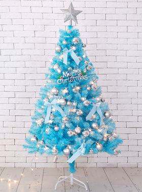 New blue Christmas tree package with lights蓝色圣诞树套装