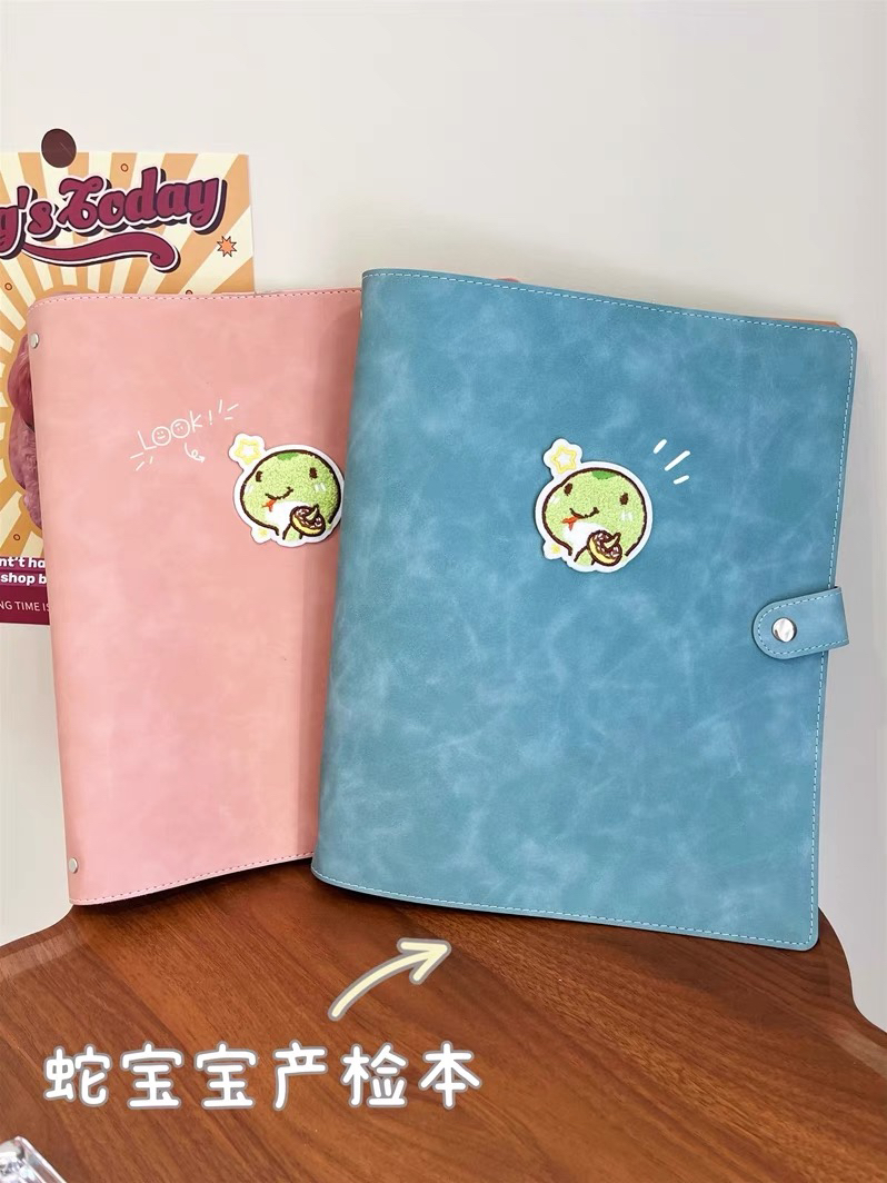可爱龙宝宝疫苗本出生证孕检收纳册活页A4A5收纳袋孕妇b超单便携
