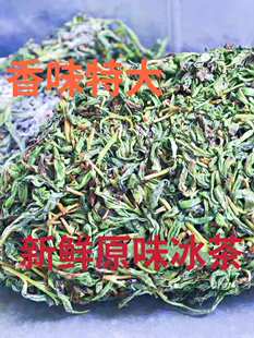 高香原味新鲜高山凤凰单丛雪片单枞茶冰茶鸭屎香冰湿茶冷冻茶青茶