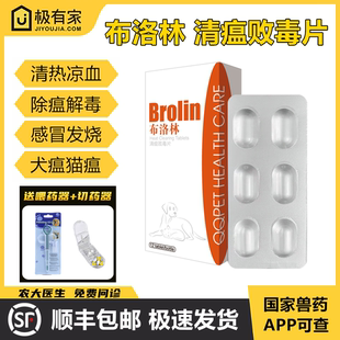 球球布洛林清瘟败毒片宠物感冒发烧瘟神经症状退烧药解毒退热免疫