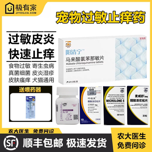 宠物止痒药阳清宁过敏皮炎异位性