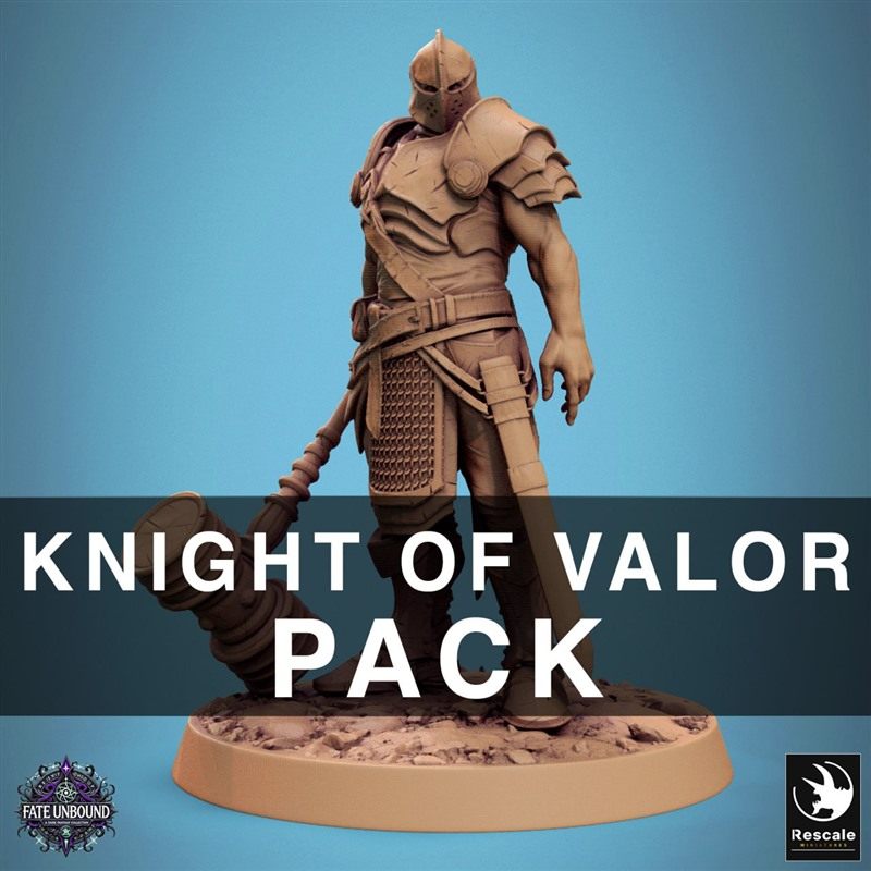 英勇骑士套装棋子3D打印模型STL文件素材高精度战棋桌游