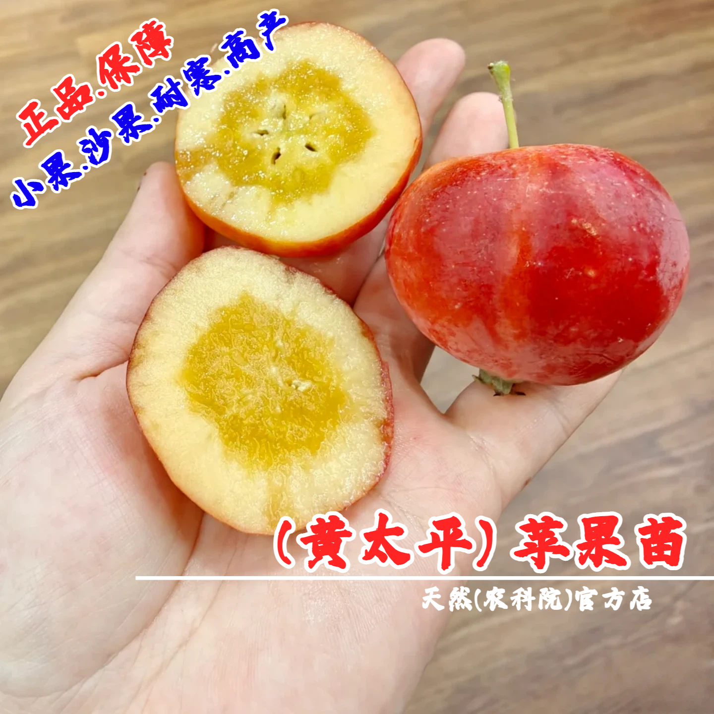 耐寒东北秋红沙果酸甜海棠果苹果树苗矮化盆栽庭院黄太平小苹果苗