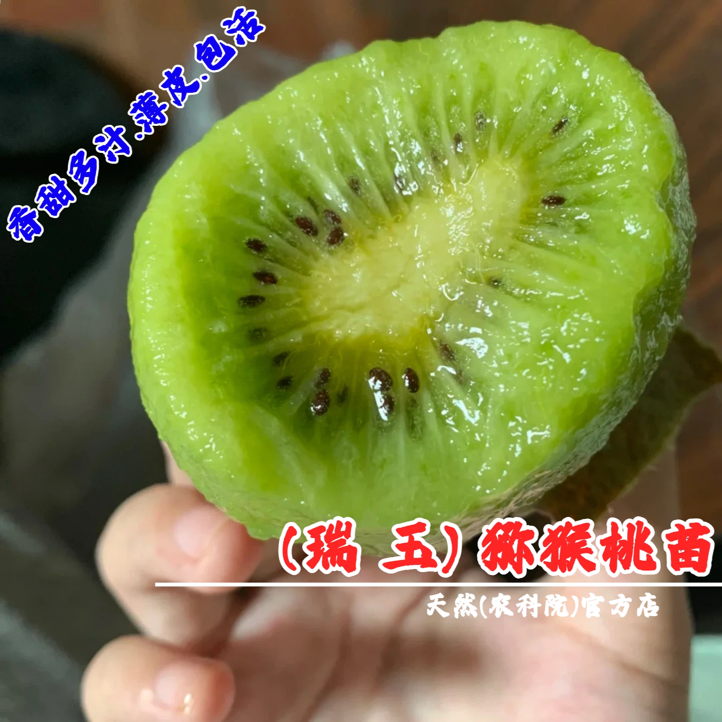 陕西纯甜瑞玉猕猴桃树果苗庭院地栽爬藤奇异果猕猴桃苗南北方种植图片