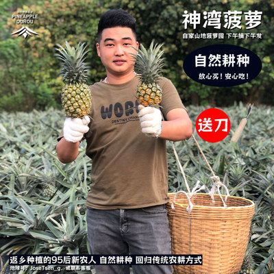 正宗神湾菠萝免泡盐水爽脆无渣