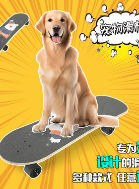 专用宠物滑板四轮晟驰灵活狗狗