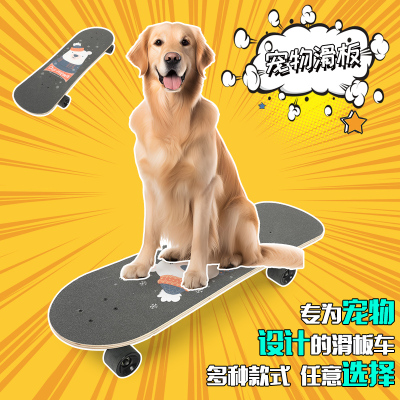 专用宠物滑板四轮晟驰灵活狗狗