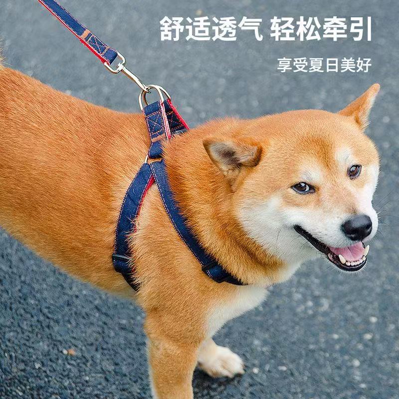 宠物胸背牵引绳狗狗拉带外出遛狗绳子链子中小型犬金毛泰迪用品
