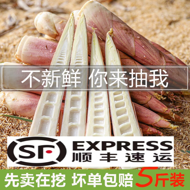 2025小中笋 新鲜春笋现挖现发雷竹笋野生黄泥笋新鲜竹笋尖装秋笋