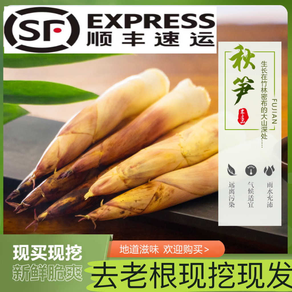 小笋新鲜现挖高山雷竹笋农家蔬菜竹笋春笋根黄泥笋竹笋秋笋老一些