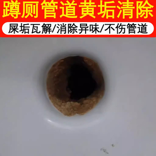 蹲厕管道壁除垢清洁剂洗厕所马桶强力去污去黄除臭老顽固熔解剂