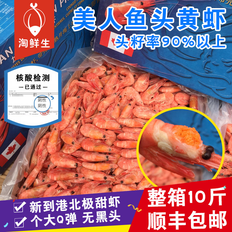 高品质加拿大野生头籽头膏北极虾甜虾带籽北极甜虾10斤冰虾新货