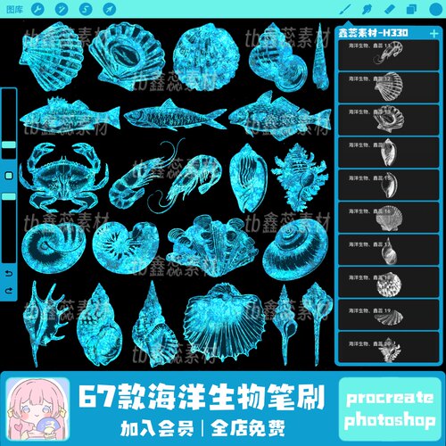procreate笔刷ps笔刷海洋生物贝壳海螺深海鱼素描螃蟹线稿笔刷