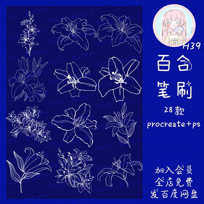 procreate笔刷ps笔刷百合花花朵花卉线稿辅助线笔刷