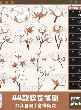 procreate笔刷ps笔刷棉花植物花朵花卉花枝线稿绘画辅助线笔刷