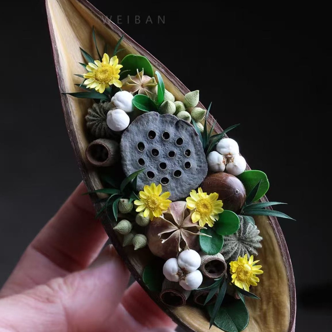 植物森林船型冰箱贴diy植物标本伴手礼家居墙面装饰品