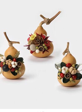 【包邮】葫芦国风蘑菇菌子果实真植物diy冰箱帖墙面装饰品