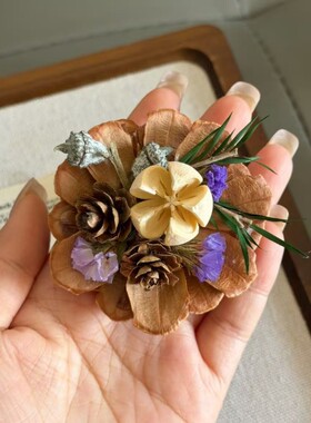 大理永生花干花果实冰箱贴松塔手工创意森林系伴手礼礼物装饰摆件