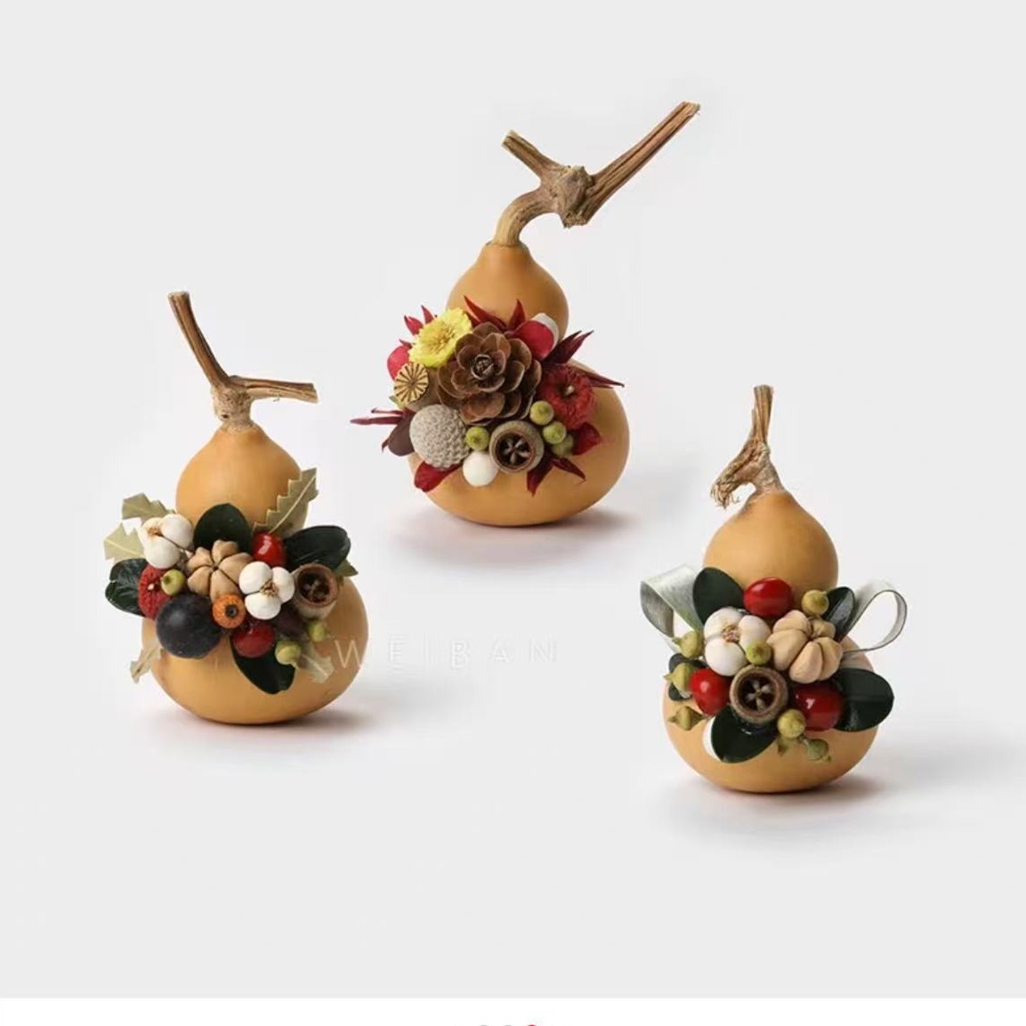 葫芦国风蘑菇菌子果实真植物diy冰箱帖标本伴手礼家居墙面装饰品