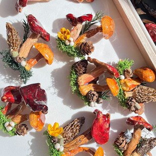 云南大理苍山果实真菌蘑菇冰箱贴手工创意果实森林礼物