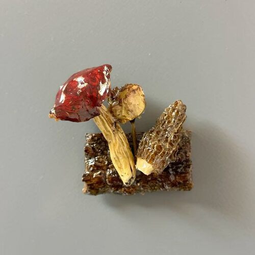 云南蘑菇菌真植物diy森系冰箱帖标本伴手礼家居墙面装饰品