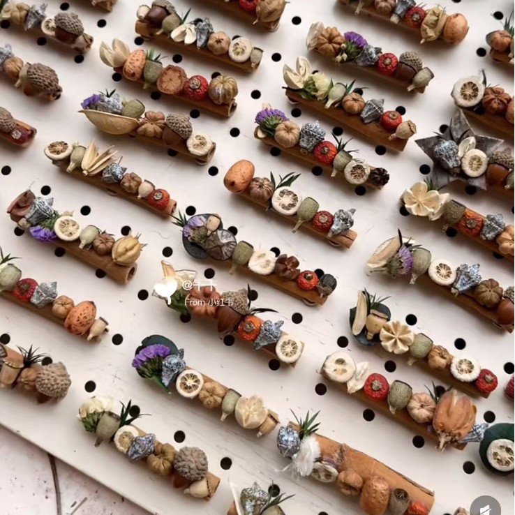 小清新干花高级果实真植物diy冰箱帖标本伴手礼家居墙面装饰品