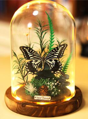 薇时光永生花玫瑰玻璃罩摆件真蝴蝶标本情人节纪念日生日创意礼品