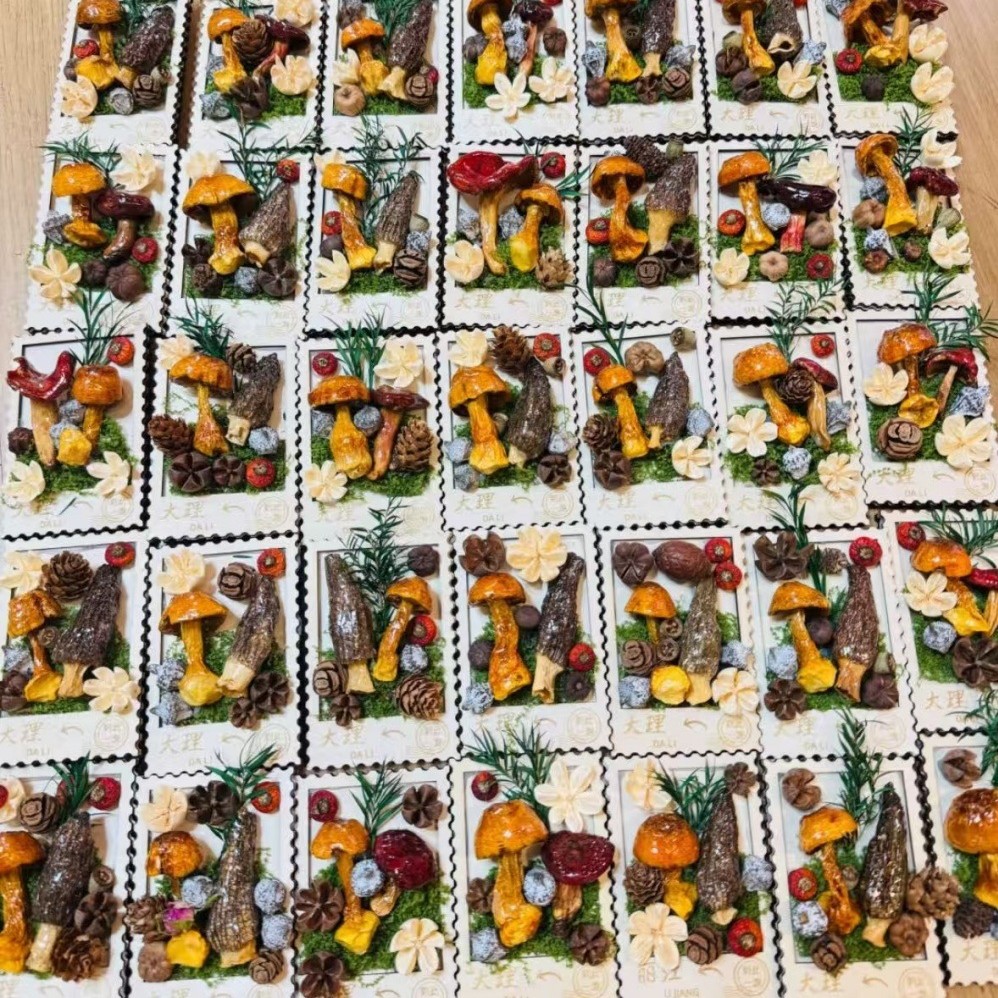 云南蘑菇菌真植物diy森系冰箱帖标本伴手礼家居墙面装饰品