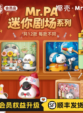 LOZ/椰壳耙老师迷你剧场积木联名盲盒 熊猫电视机积木 小颗粒拼图