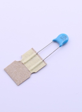 R06B1B101KQ0T0S0N0 (100pF ±10% 2kV) 直插瓷片电容