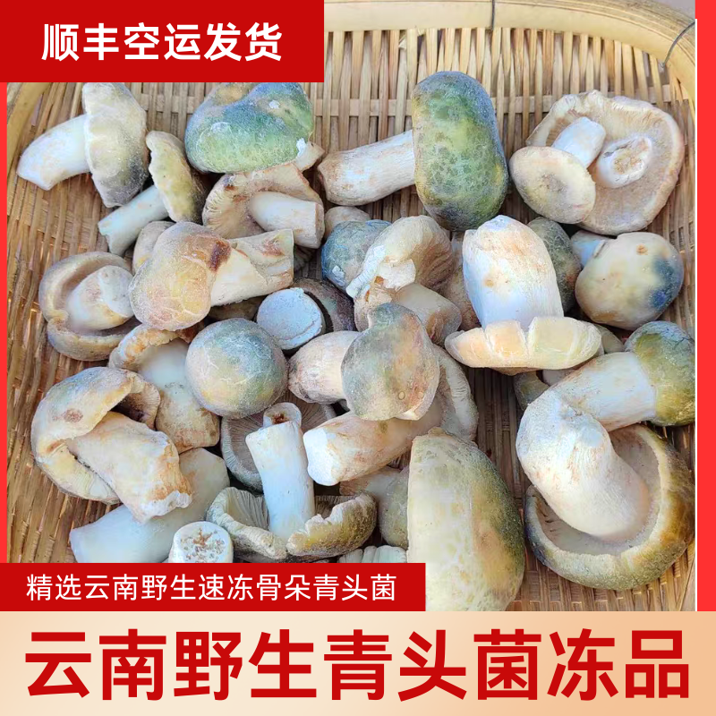 云南野生新鲜青头菌速冻冰鲜青头菌无毒野生菌菇山珍美味餐厅专供