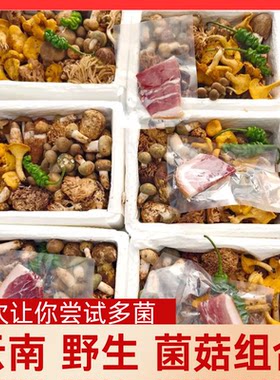 新鲜蘑菇野生菌组合黑松露牛肝菌鸡 枞羊肚菌见手青松茸干巴菌