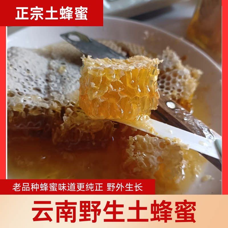 （正宗土蜂蜜）云南野生土蜂蜜老品种蜂蜜蜂巢蜜百花蜜可带蜂巢