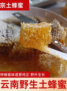（正宗土蜂蜜）云南野生土蜂蜜老品种蜂蜜蜂巢蜜百花蜜可带蜂巢