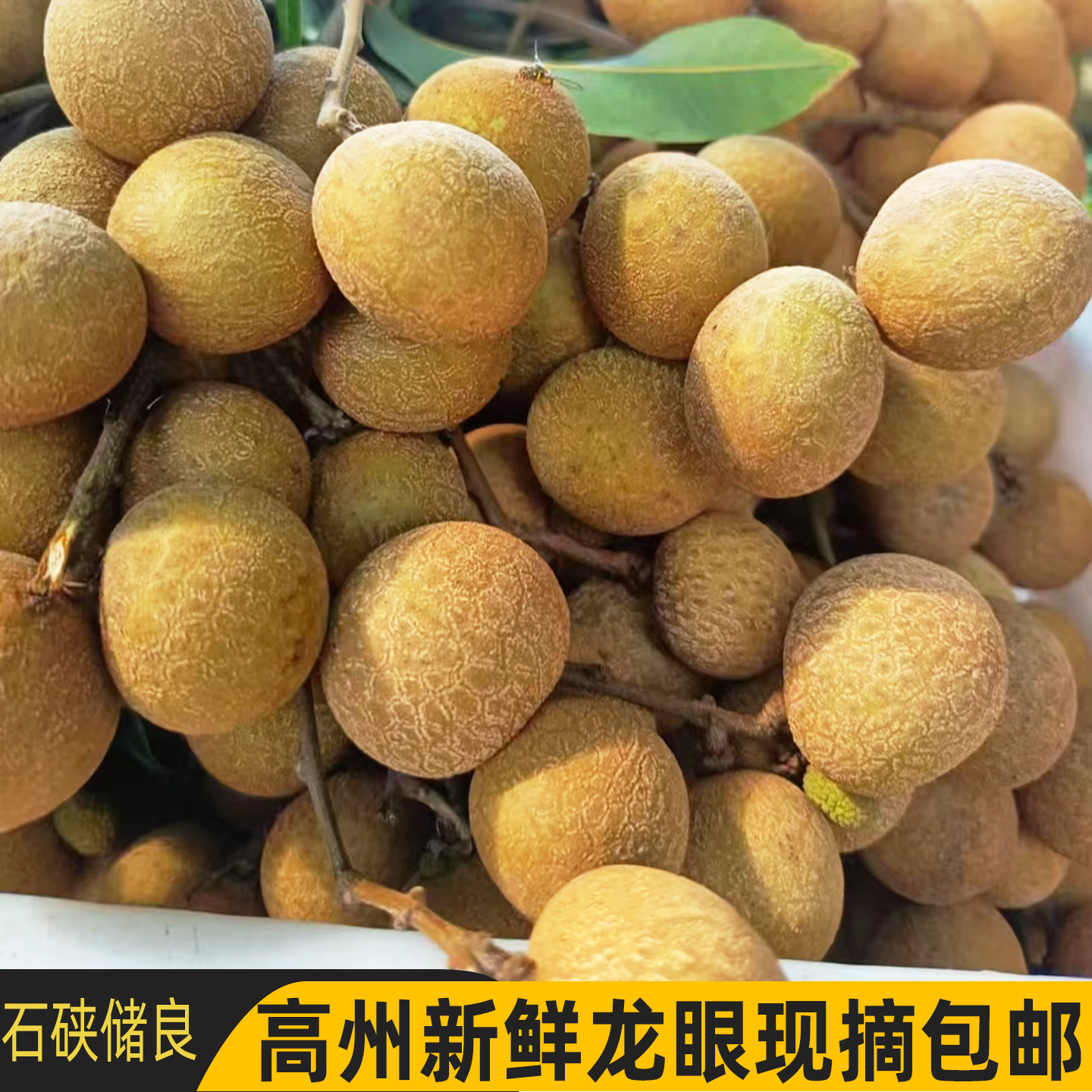 新鲜龙眼石硖储良现摘应季孕妇水果高州老树桂圆顺丰大果5斤包邮