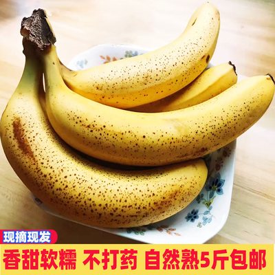 广东高山香蕉现砍5斤包邮自然熟